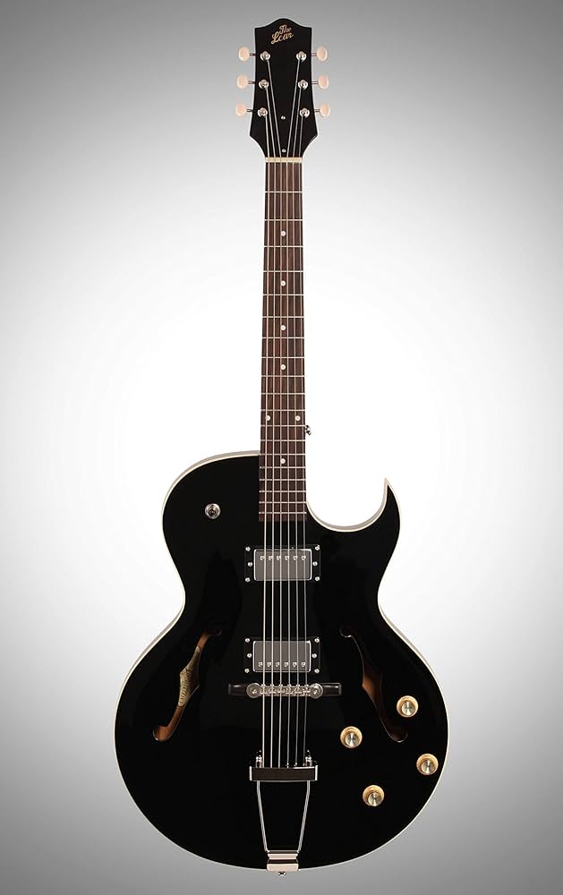 新品同様　LOAR ( ロア ) / LH-304T-CBK LOAR ( ロア ) LH-304T-CBK フルアコ 送料無料 | サウンドハウス
